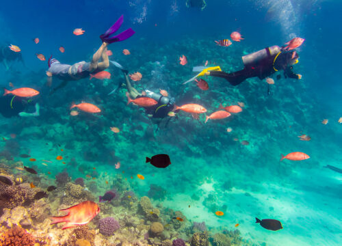HURGHADA INTRO DIVING