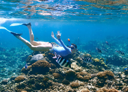 Snorkeling Trip At Mahmya Island from Hurghada