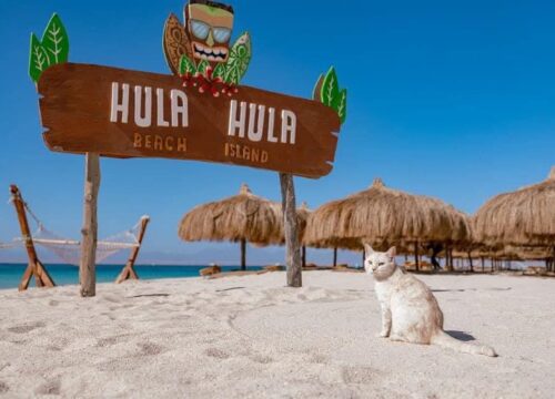 Hula hula  island