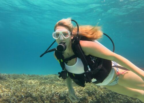 Crossover to PADI Divemaster