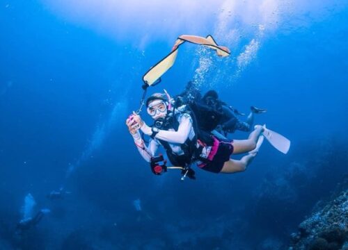Open Water Diver Referral Course