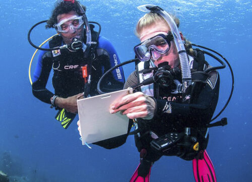 PADI Divemaster