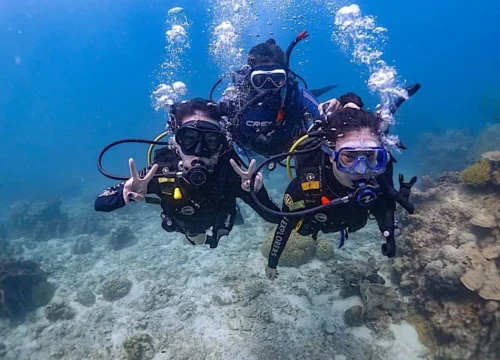 PADI Divemaster