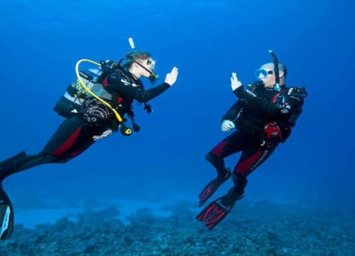 PADI Open Water Diver Course