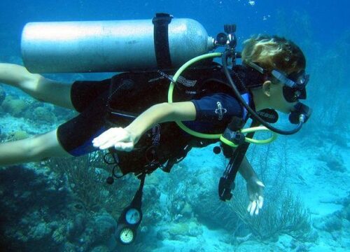 PADI Open Water Diver Course
