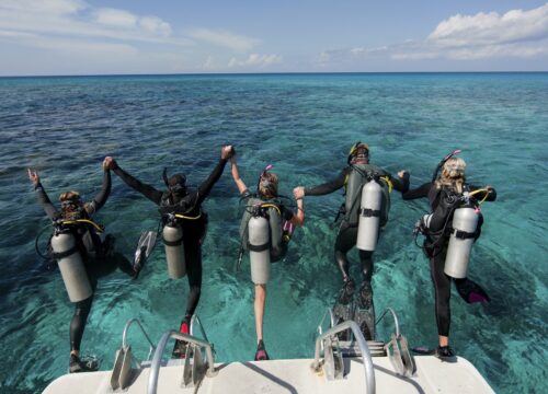 SSI Boat Diving