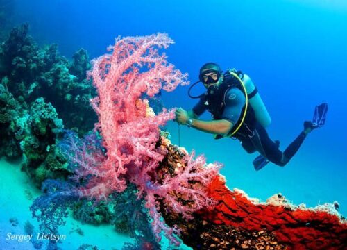 SSI Deep Diving