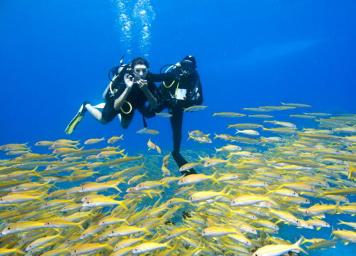 SSI Deep Diving