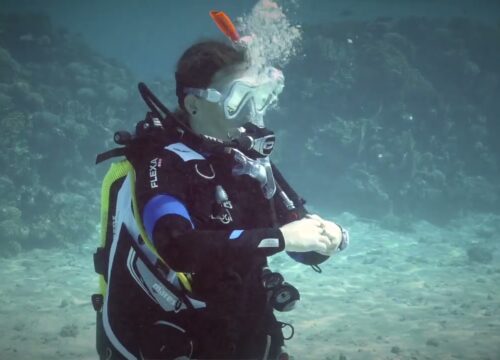 SSI Dive Guide
