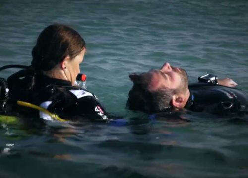 SSI Dive Guide