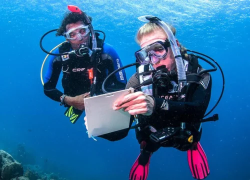 SSI Dive Master Course