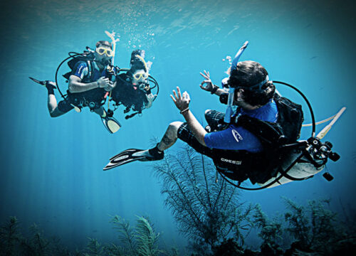 SSI Dive Master Course