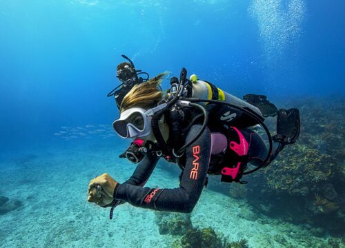 SSI Dive Master Course