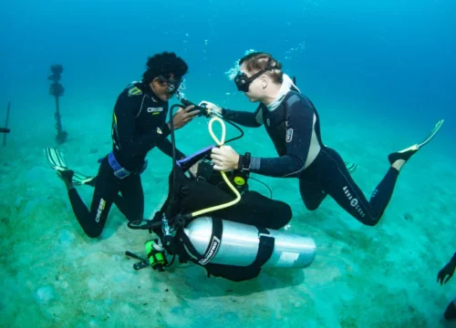 SSI Dive Master Course