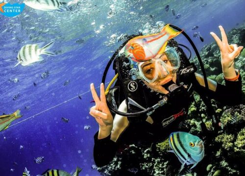 SSI Equipment Techniques