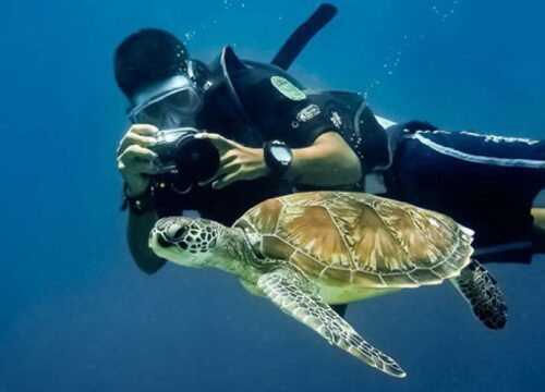 SSI Equipment Techniques