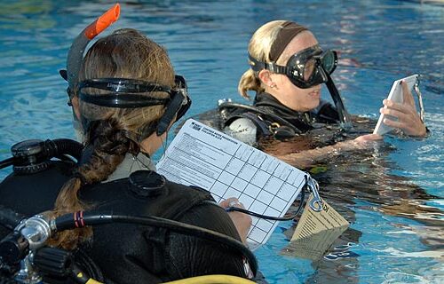 SSI Instructor Training Course