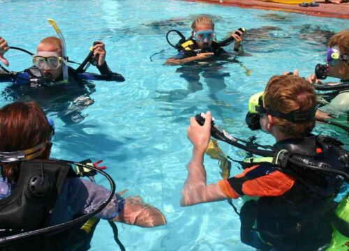 SSI Instructor Training Course