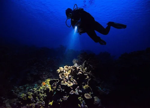SSI Night Diving