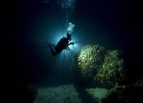 SSI Night Diving