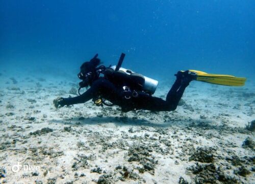 SSI Perfect Buoyancy