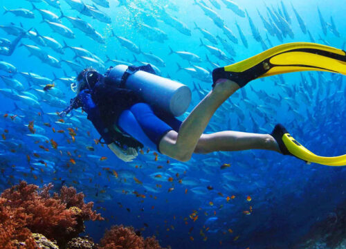 SSI Science of Diving