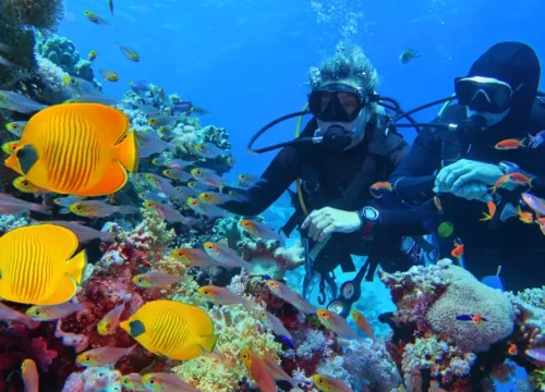 SSI Science of Diving