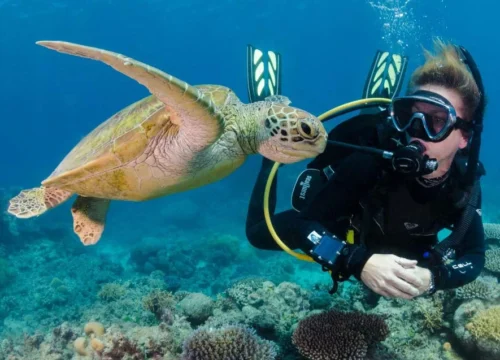 SSI Science of Diving