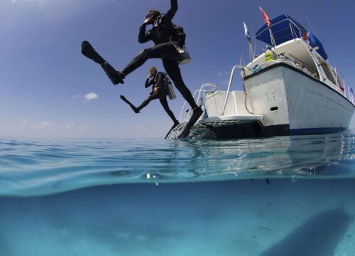 Boat Diver