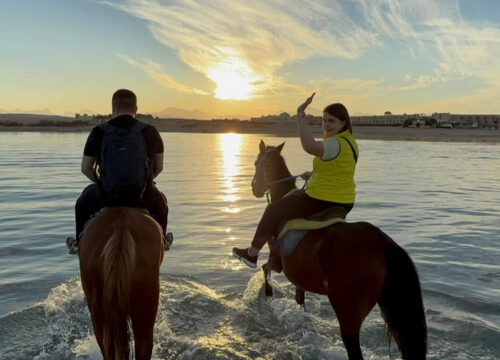 Hurghada Horse Riding on The Beach