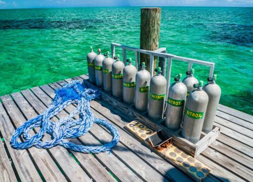 PADI Enriched Air Diver Course